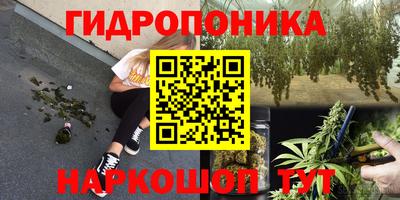 трава Можга