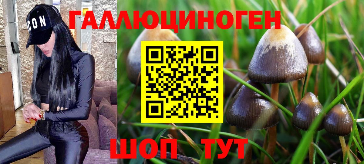 Галлюциногенные грибы GOLDEN TEACHER Качканар