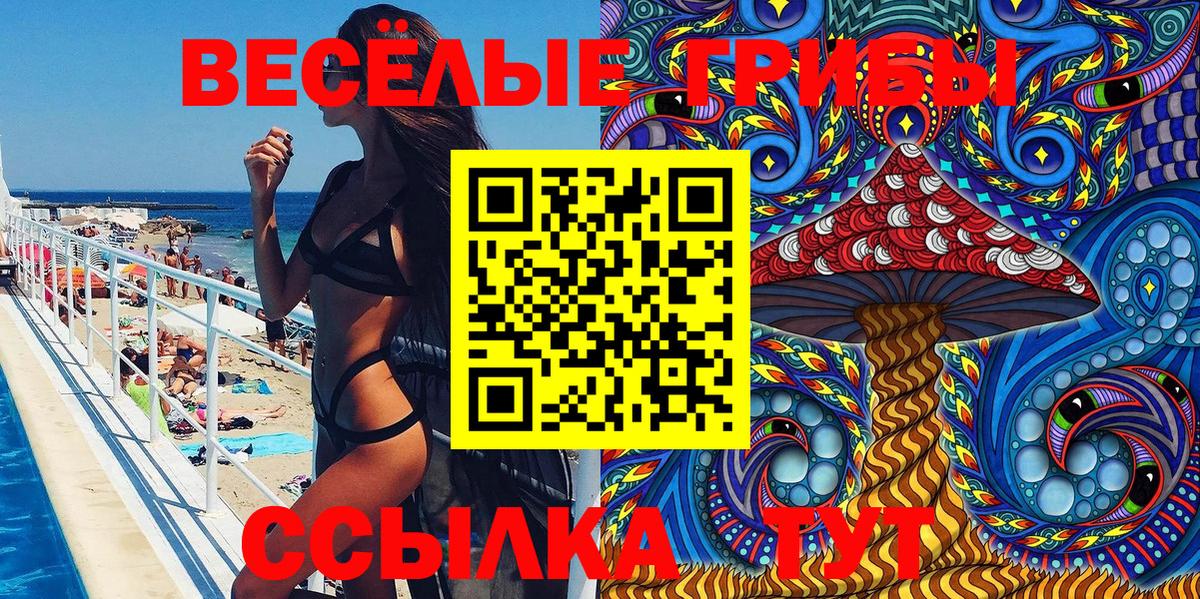 Галлюциногенные грибы Psilocybine cubensis  Качканар 